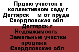 Прдаю участок в коллективном саду г.Дегтярск 200м от пруда - Свердловская обл., Дегтярск г. Недвижимость » Земельные участки продажа   . Свердловская обл.